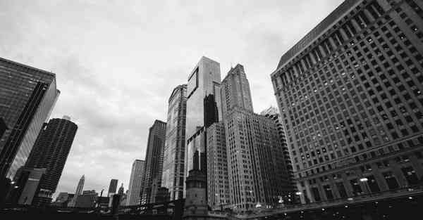 真正大数据龙头股