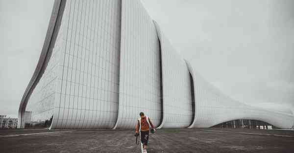 外国语单招大数据的行业文章