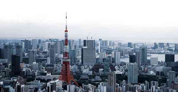 大数据影视软件