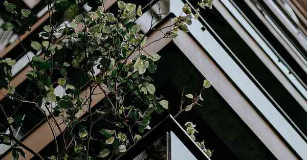 人工智能机器人和人谈恋爱