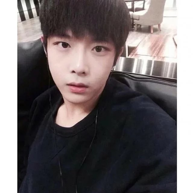 柳瑾琳伊