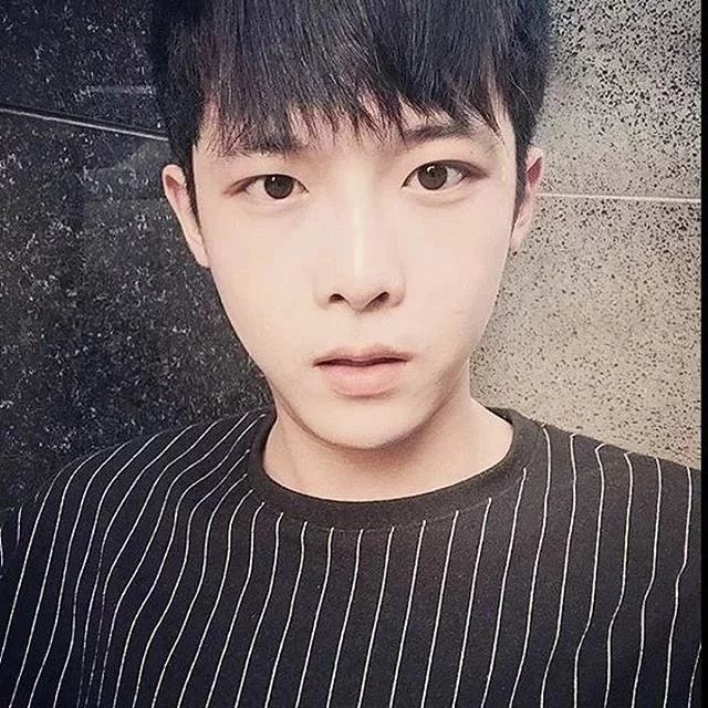 甘爽忠桦