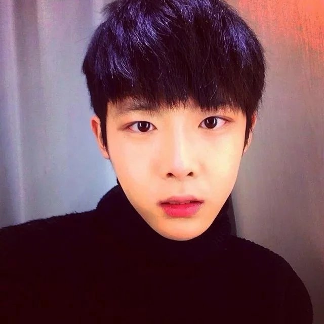 堵乐宏纨
