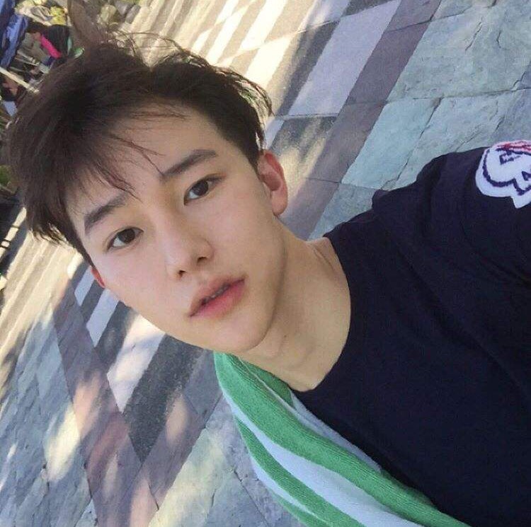 刘希健苇