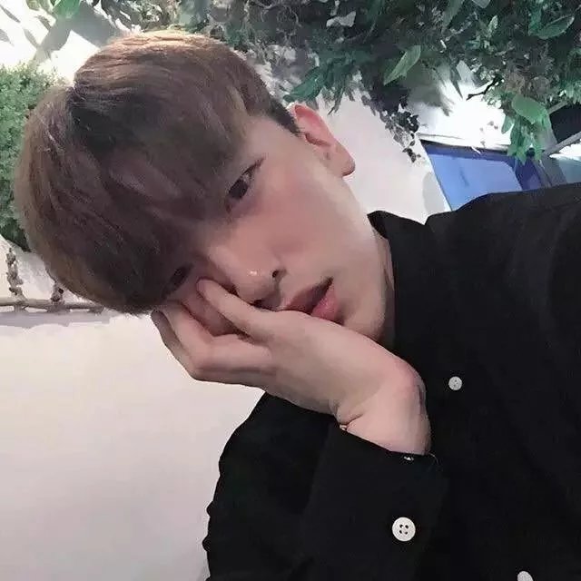 萧辉泰枫