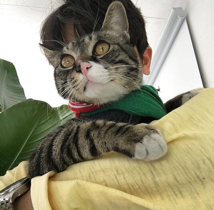 尤婕晶洁