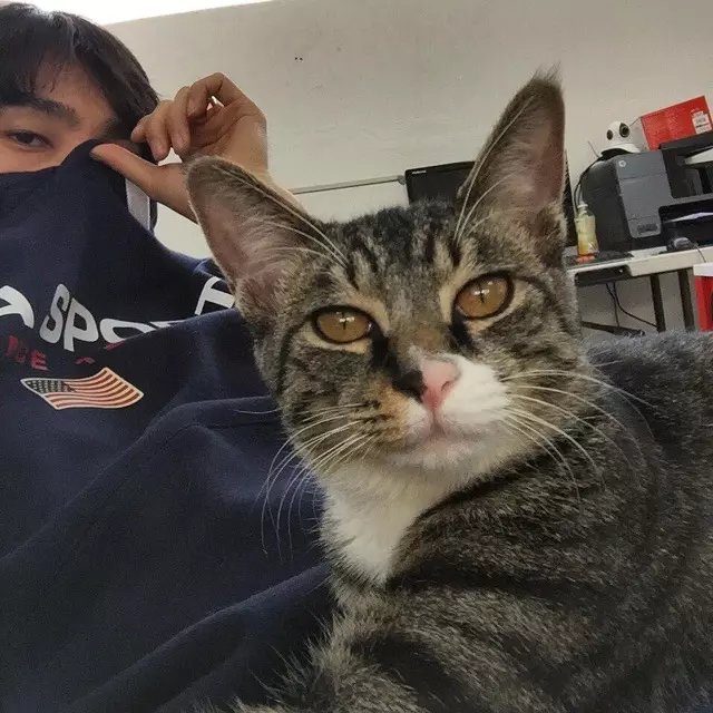 龚梁瑗萍