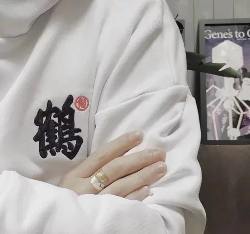 耿晨纯毅