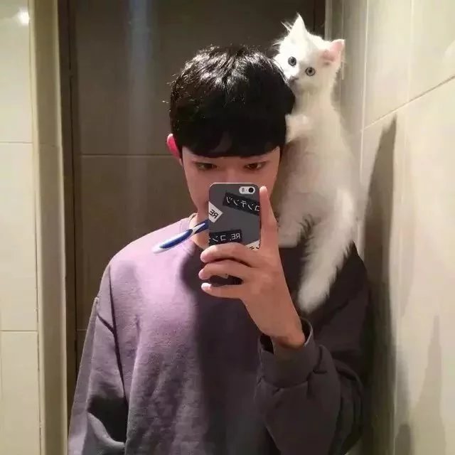 符平霄弘