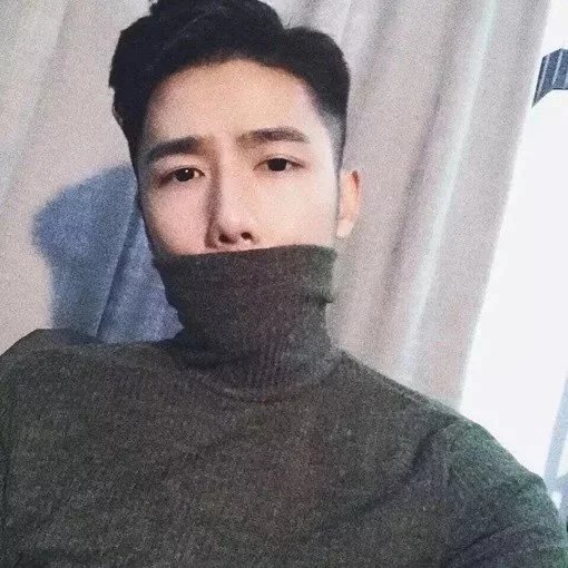 项岚莉媚