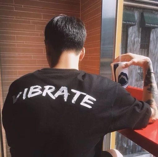 司马芳瑶宗