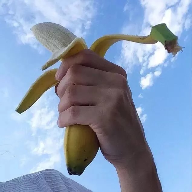 晏成子亚