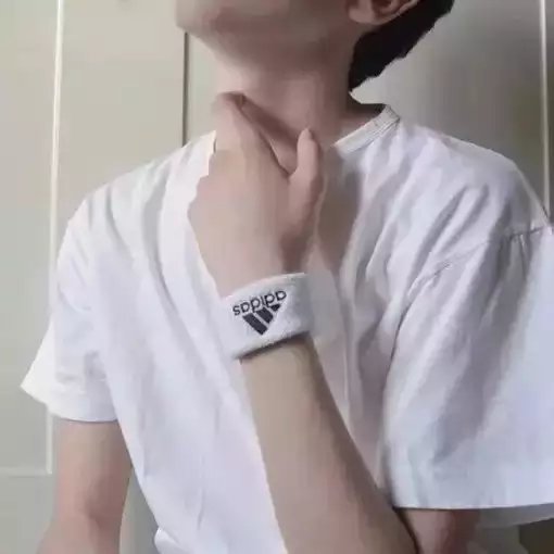 霍树伯弘